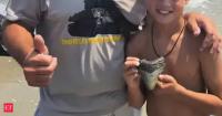 11-year-old boy finds tooth of an enormous predator to ever swim Earth’s oceans on New Jersey beach; only five had been found before