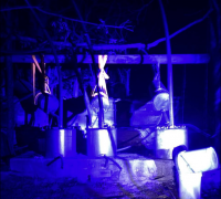 Two Mexicans, two Zimbabweans and a Malawian arrested in R600m drug bust near Musina