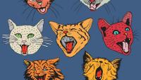 Scientists Discovered How Cats Use Urine to Identify Each Other