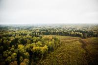Saudi’s National Greening Program launches 1st Ehsan portfolio