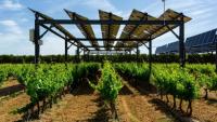 Agricultural irrigation with solar energy: how to reduce costs and improve farm efficiency