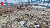 Industrial effluents not behind fish deaths in Ennore: Minister