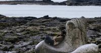 Ireland through the lens: Explore First inspires creativity and confidence