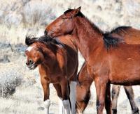 What’s happening Friday in Carson City, and a peek at the weekend ahead