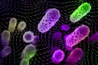 The importance of indoor airflow patterns in spreading airborne disease