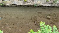 Virginia drought warnings stay active for now