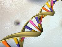 A Better Map of Icelandic DNA Reveals Hidden Parkinson’s Risk