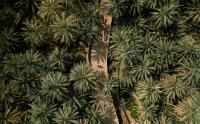 DCT Abu Dhabi Opens Applications for LanD 2027 Heritage Training Programme