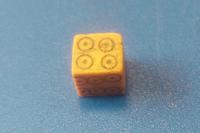 Archaeologists in Miory District Find a Gaming Die Unusual for Belarus