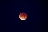 Look up, Miami: A blood moon is coming