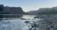 Arizona's Colorado River water cuts to increase by 48%