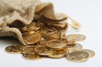 Forbes Included Two Belarusians in the Top Richest Immigrants in the USA