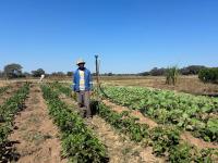 Ohangwena Agriculture Investments Face Test of Economic Returns