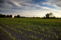 Department Calls for Beginning Farmer Advisory Board Nominations