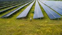 Govt mulls capex-based subsidy support to add 30 GW Polysilicon manufacturing capacity by 2030