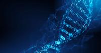 Researchers Use AI to Decode Key DNA Sequence in Gene Activation
