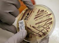 Alfalfa sprout linked to food-poisoning outbreak in 15 states, health officials say