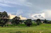 Nature Notebook ~ Weathering the Storms