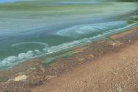 Blue-Green Algae on the Rise in Wisconsin’s Lakes