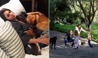 What will happen to Meghan and Harry's dogs when they return to the UK? Duchess has already had to leave one beloved pet behind after moving from Toronto to London