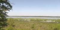 Emiquon National Wildlife Refuge to receive $125K for wetlands, as part of Alto Pekin settlement
