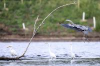 Minnesota agencies planning ahead for changes to state’s water supply