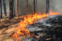 Critical Fire Weather Watch Puts WA on Alert Through the Weekend