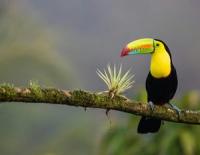 The 9 best places to visit in Costa Rica in 2026, ranked