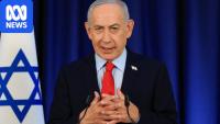 Israel's impunity has been virtually unaffected by collective concern