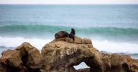 I was a cruise sceptic ... until I went on this unforgettable voyage in New Zealand