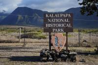 E Kū Paha Ke Komo ʻAna Ma Kalaupapa I Ka ʻŌhua Hala? ‘ʻAʻohe Mea ʻIke’