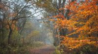 Between Edinburgh And Glasgow Is Scotland's Ex-Mining Town With Vibrant Culture, Lovely Parks, And Fun Shops