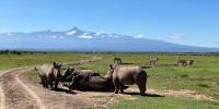 South Florida husbands among Americans killed in Kenya helicopter crash