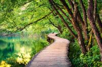 10 of the Greenest Places on Earth for a Lush Getaway in Nature