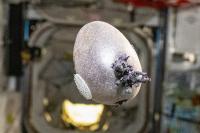 12 of the strangest things ever seen on the International Space Station