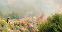 Aerial treatments planned for 11,000 acres in South Sugarloaf burn scar