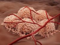 China NMPA clears Akeso’s AK-157D1 for clinic in solid tumors
