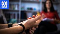 Tasmania warned of 'stress, burnout' as justice staff wellbeing service axed