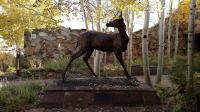 Four Hours from Twin Falls Wildlife is Under One Roof