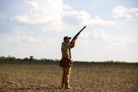 Texas Dove Season Opens Sept. 1st With Near-Record Bird Numbers