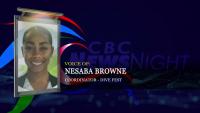 Barbados Dive Fest showcases marine environment