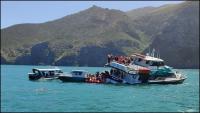 Rock Strike Caused Near-Fatal Grounding of Tourist Vessel in New Zealand