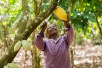 Fairtrade Africa Convenes Industry