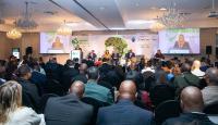 Africa’s carbon markets gain momentum