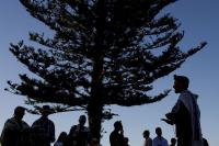 Australia’s capital to join gun buyback in response to Bondi Beach attack, Albanese says