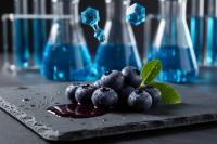 Review of Scientific Literature on Health Benefits of Blueberries