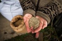 Montana Farm Rethinks Grain, Whole Foods and Healthy Eating