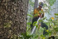 Cyber airman serves local community fighting Little Giant Fire