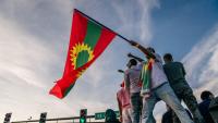 Trump Administration could potentially target Ethiopians similarly to Haitians as TPS status is terminated