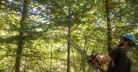 ‘We’re the manpower’: Northern Rockies Trail Project takes on trail work in North Idaho forests